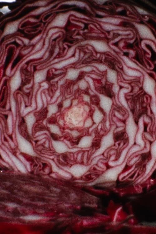 Cabbage (1972) poster