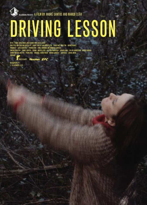 Aula de Condução (2015) poster