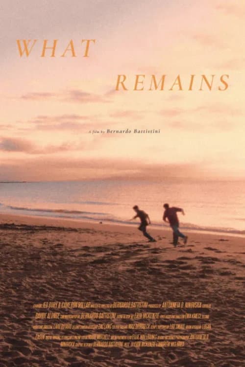 What Remains (2026) poster