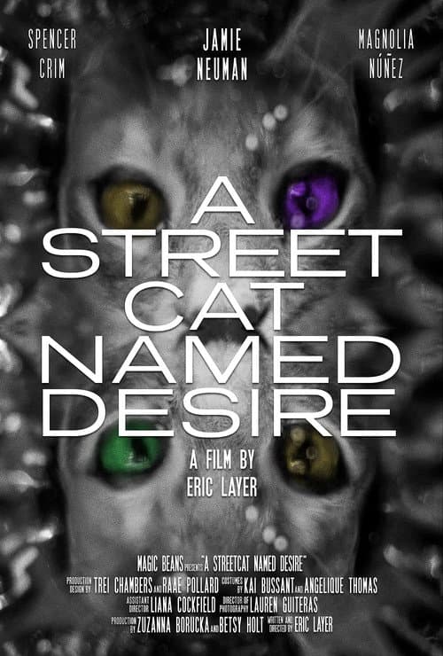 A street Cat Named Desire (2022) poster