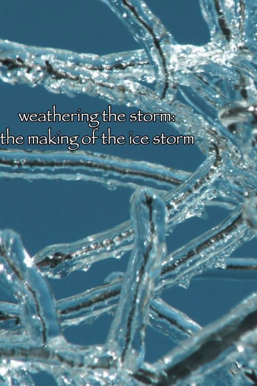 Weathering the Storm: The Making of The Ice Storm (2007) poster
