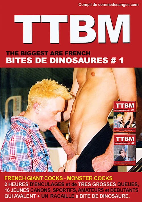 Bites de Dinosaures 1 (2008) poster