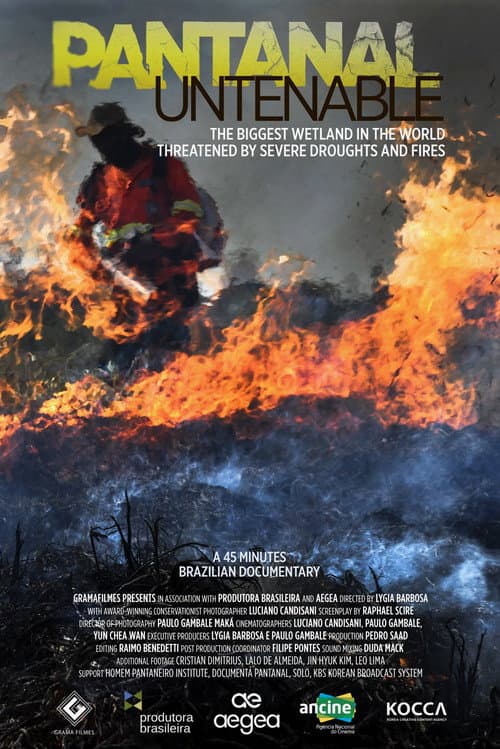 Pantanal Insostenible (2024) poster