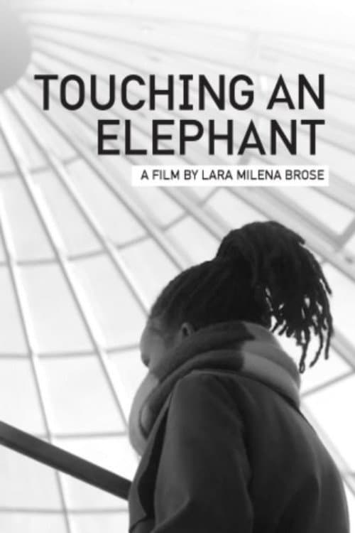 Touching An Elephant (2020) poster