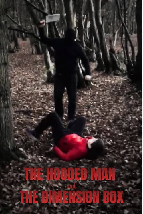 The Hooded Man and The Dimension Box (2017) poster