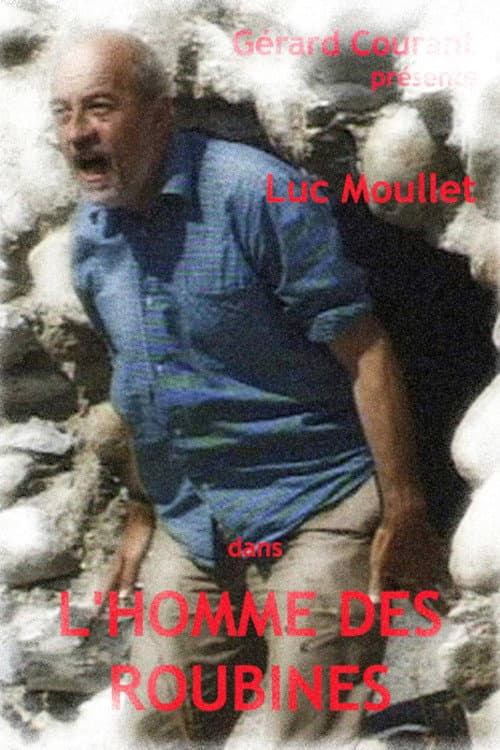 L'homme des roubines (2000) poster