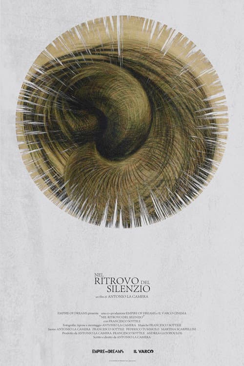 Nel Ritrovo del Silenzio (2018) poster
