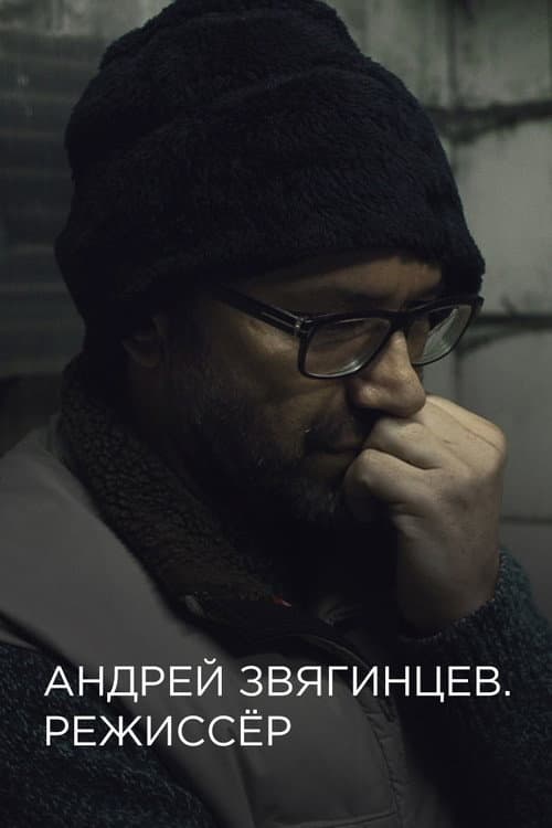 Андрей Звягинцев. Режиссёр (2017) poster