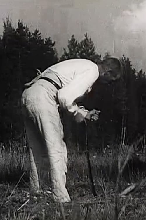 Hämeenkyrön heinänteko (1936) poster