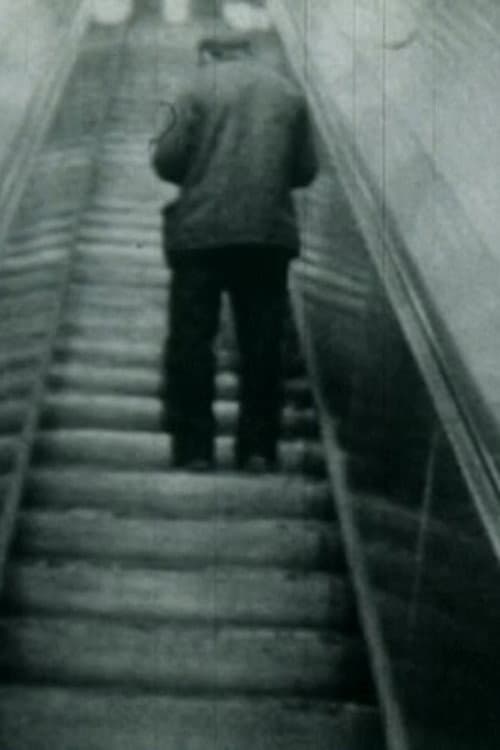 Passage du thermomètre (1983) poster