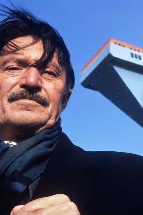 Mein Vater, der Gastarbeiter (1995) poster