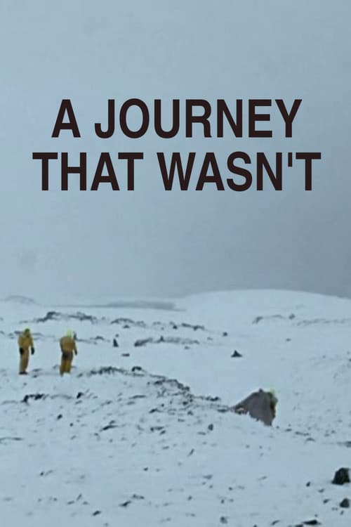 A Journey That Wasn't (2006) poster