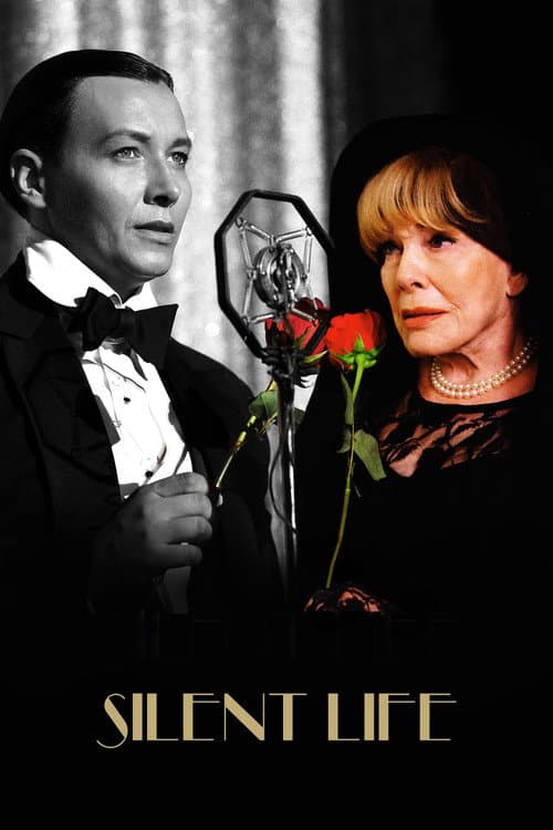 Silent Life: The Story of the Lady in Black (2023) poster