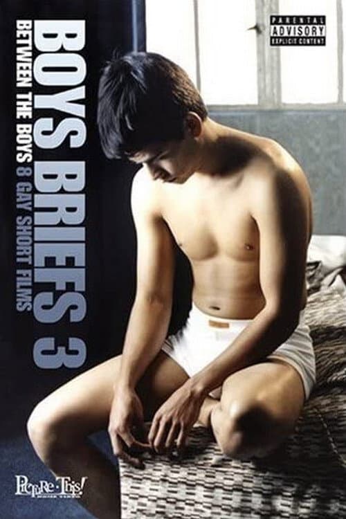 Boys Briefs 3: Between the Boys (2006) poster