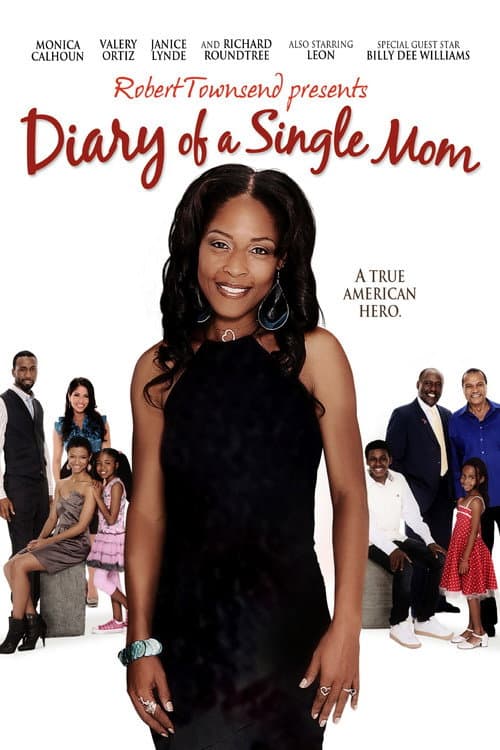 Diary of a Single Mom (2009) poster