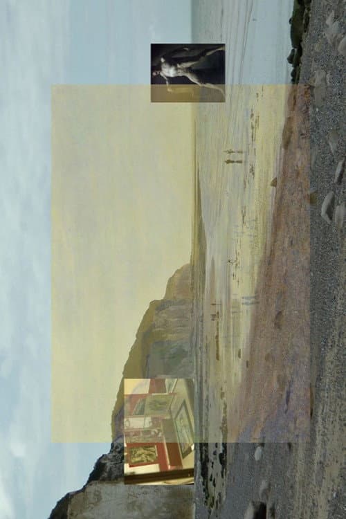 Studien zu Monet (im imaginären Museum) (2014) poster