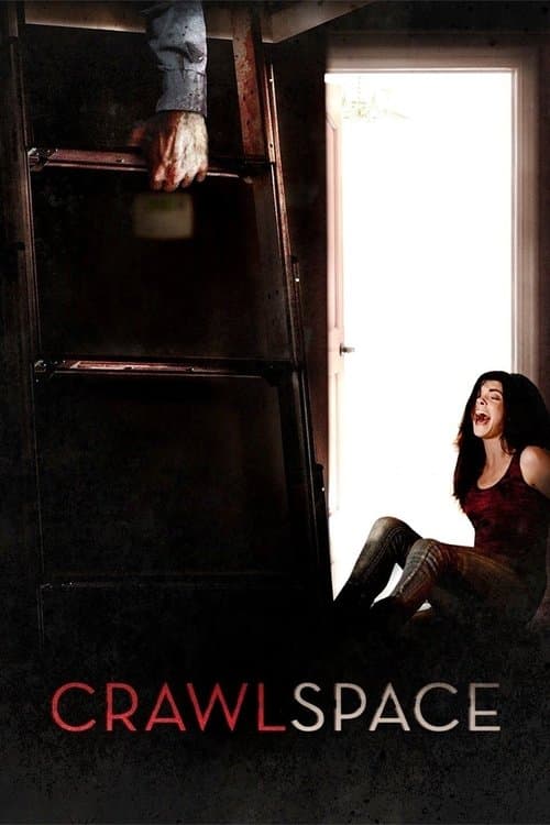 Kruipruimte (2013) poster