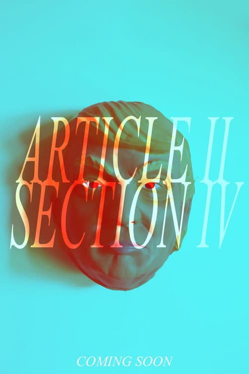 POLITICAL BULLSHIT (THE "ARTICLE II SECTION IV" CUT) (2019) poster