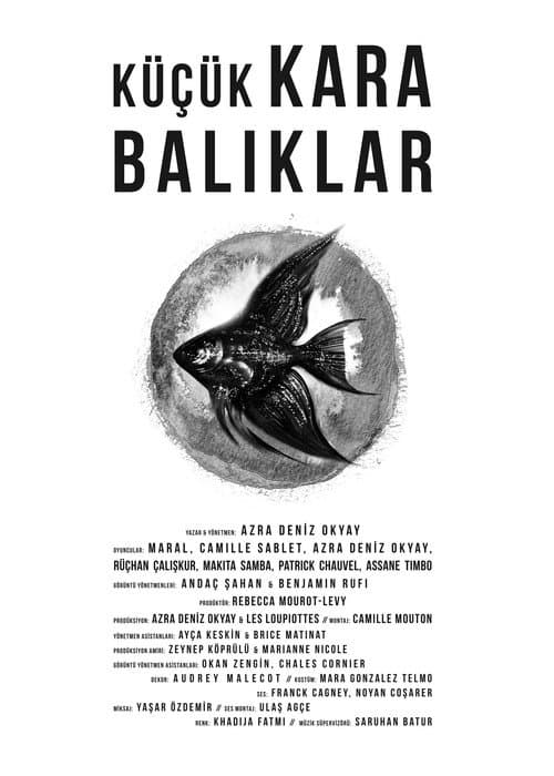 Küçük Kara Balıklar (2013) poster