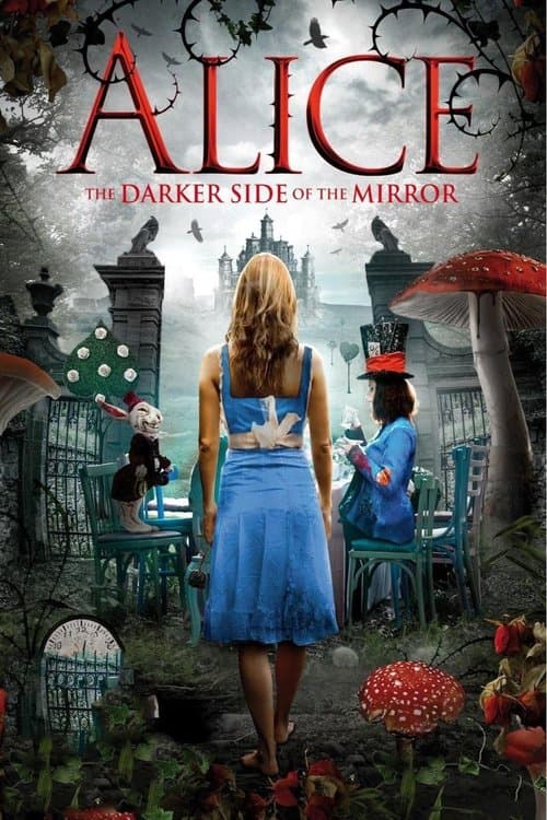 The Other Side of the Mirror (2016) poster