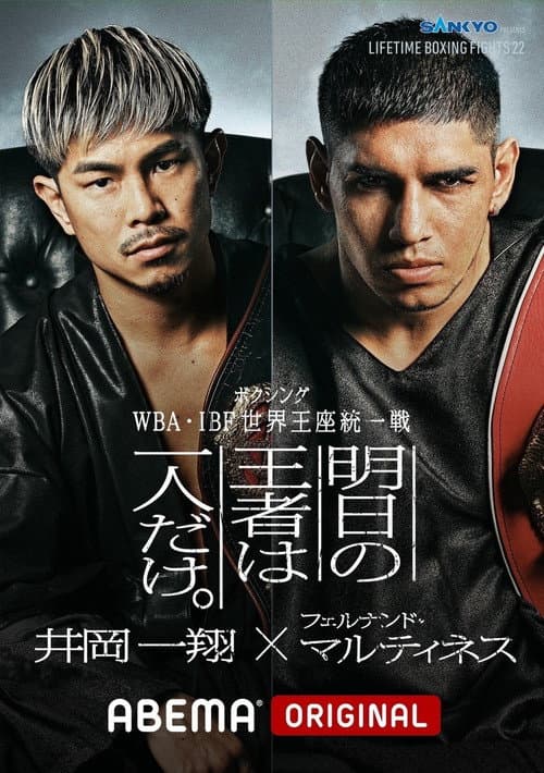 LIFETIME BOXING FIGHTS 22 (2024) poster