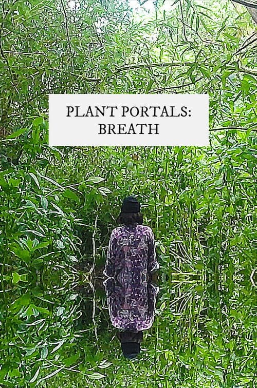 plant portals: breath (2020) poster
