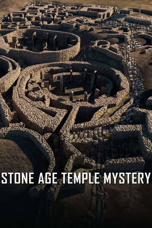 Stone Age Temple Mystery (2026) poster