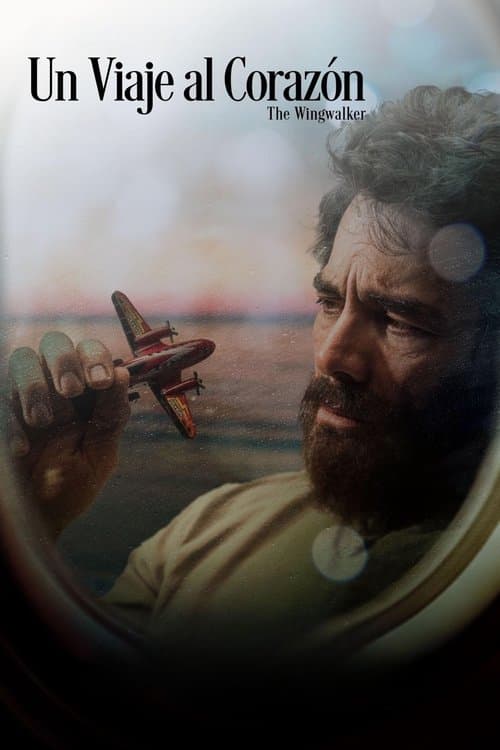 Un Viaje Al Corazón (2024) poster