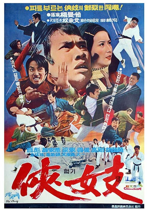 Zhan bei guo (1972) poster