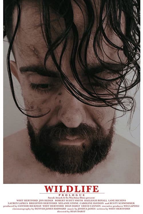 Wildlife (2014) poster