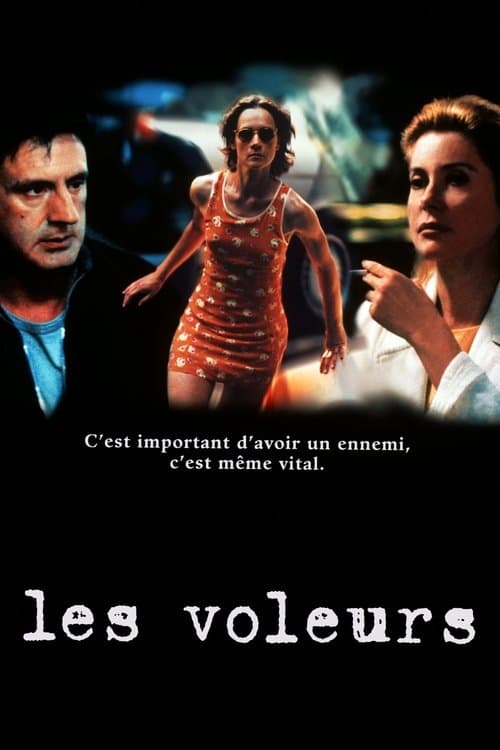 Les Voleurs (1996) poster