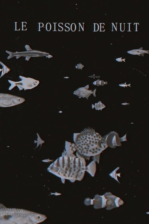 The Night Fish (2018) poster