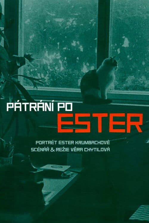 Pátrání po Ester (2005) poster