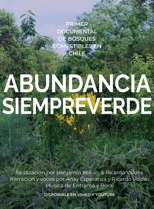 Abundancia siempreverde (2022) poster
