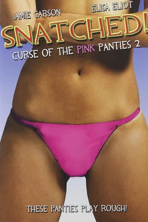 Snatched! Curse of the Pink Panties 2 (2010) poster