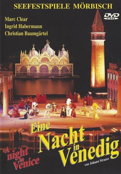 Eine Nacht in Venedig (1999) poster