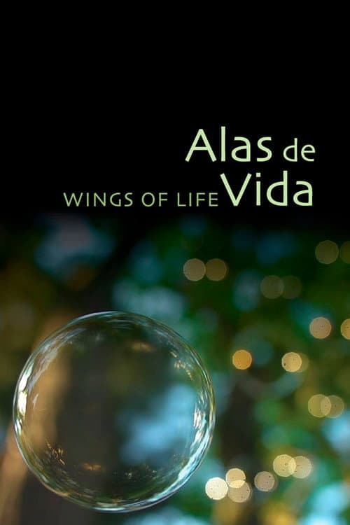 Alas de Vida (2015) poster