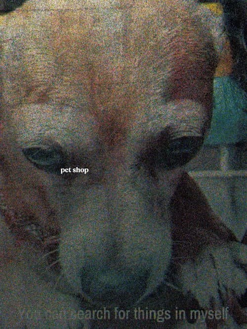 Tienda de perros (2026) poster