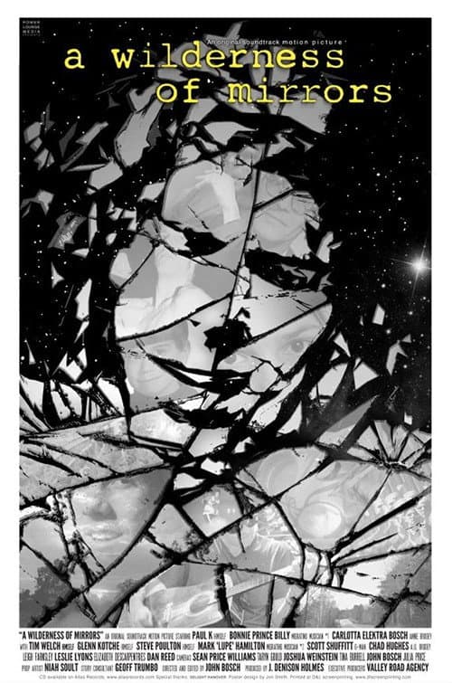 A Wilderness of Mirrors (2012) poster