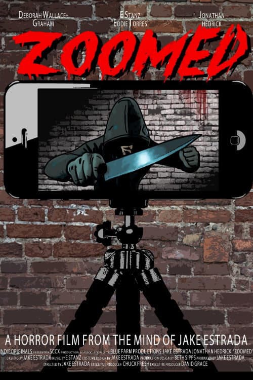 Zoomed (2021) poster