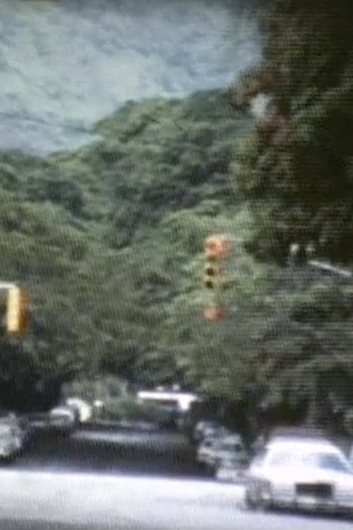 Se alquila ciudad (1981) poster