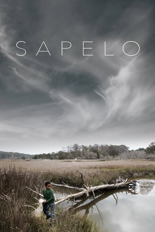 Sapelo (2020) poster