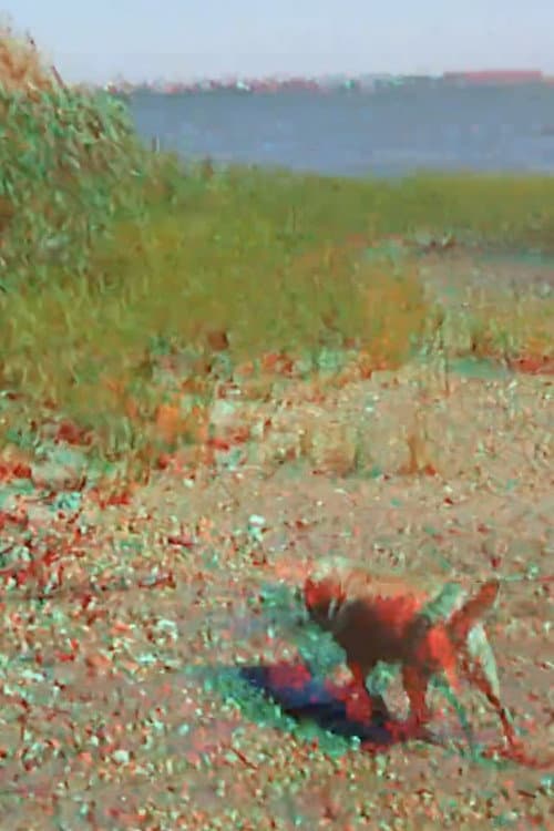 Batchellor’s Dog and Beach (2015) poster