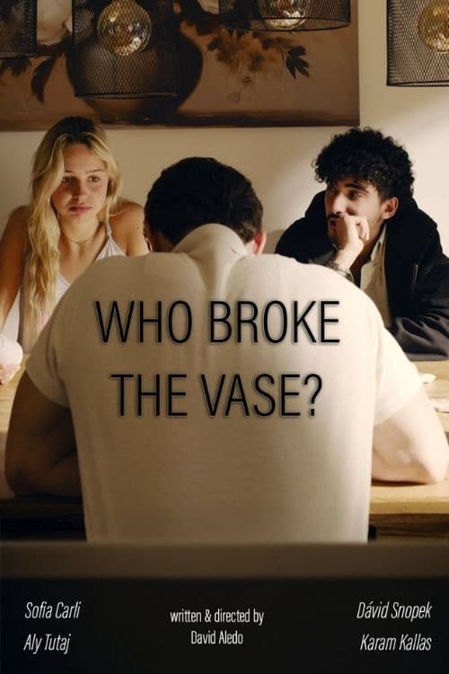Who broke the vase? (2026) poster