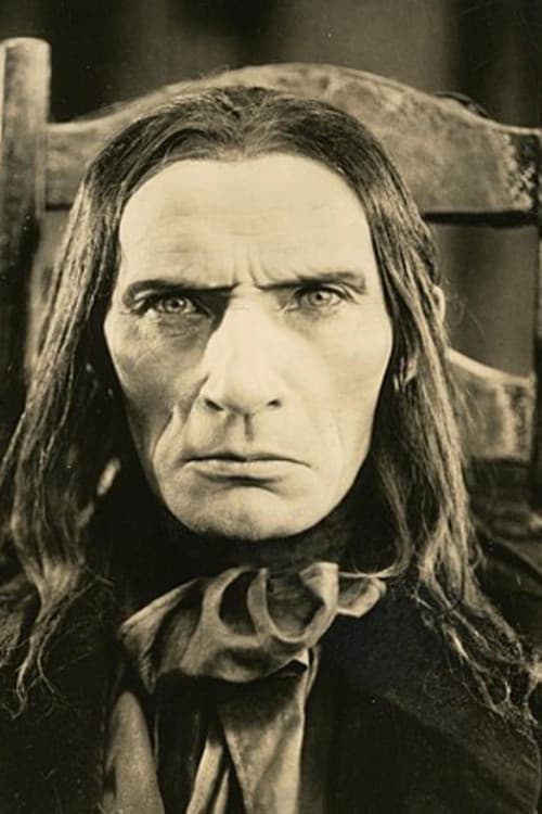 Die schwarze Pantherin (1921) poster