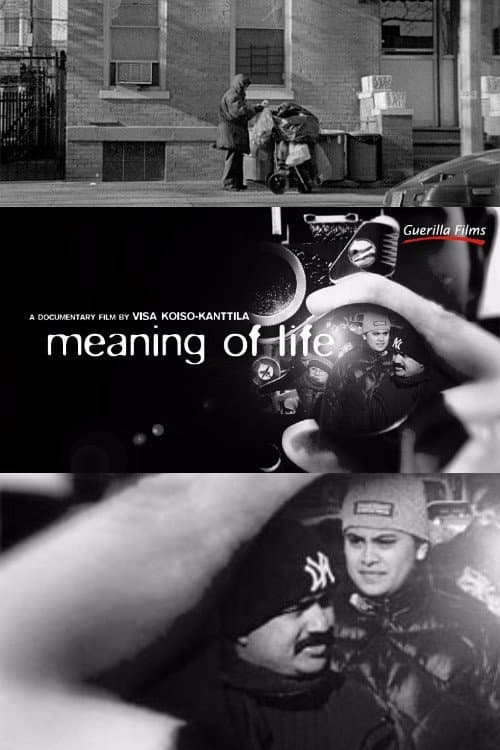 Meaning of Life (2008) poster