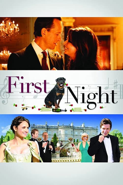 First Night (2010) poster
