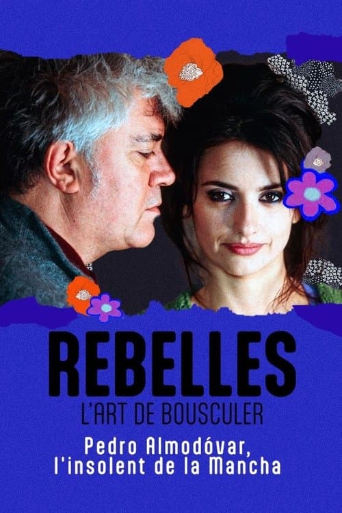 Almodóvar, l'insolent de la Mancha (2023) poster
