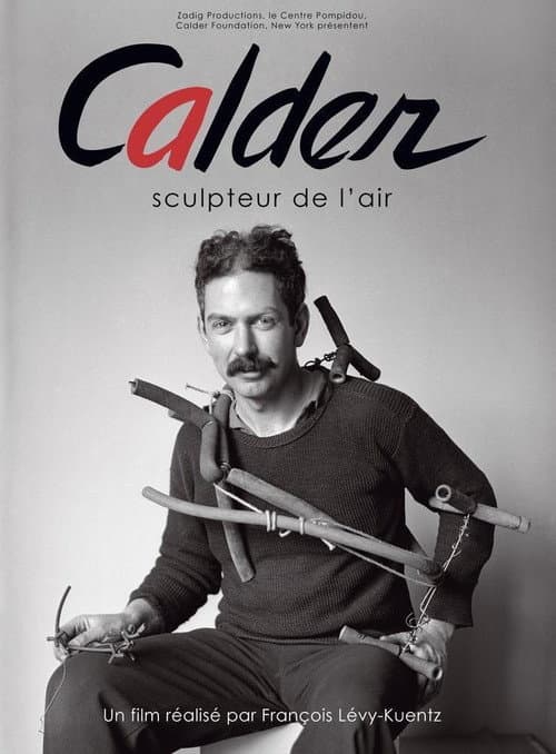 Calder, sculpteur de l'air (2009) poster
