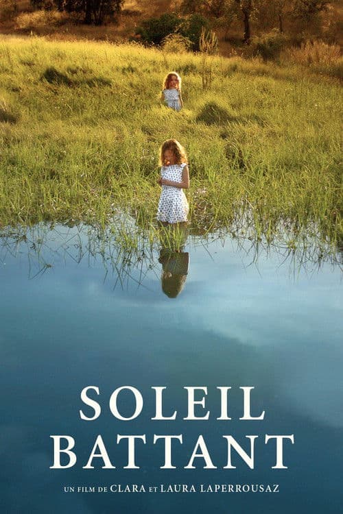 Soleil battant (2017) poster